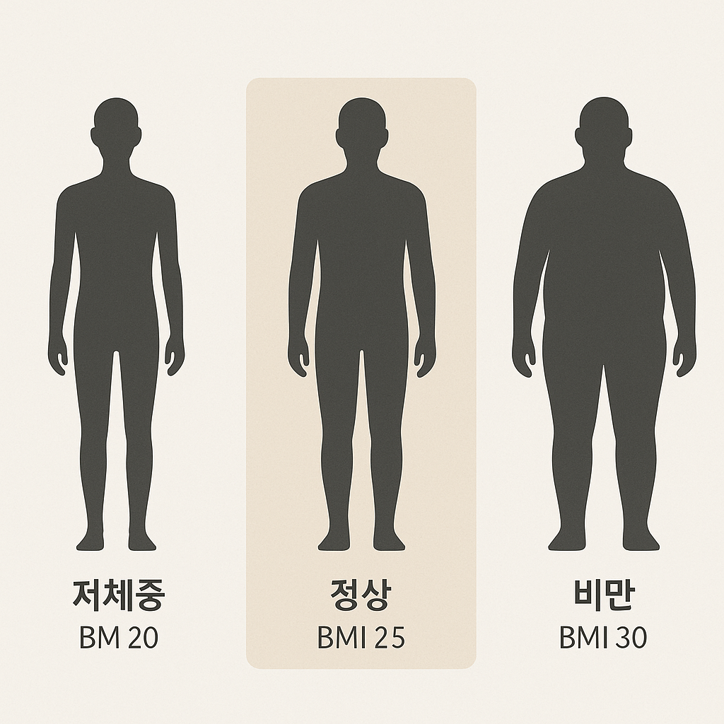 매력적인 남성 체형