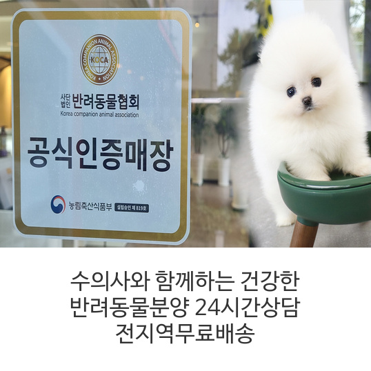 수의사와-함께하는-건강한-반려동물분양-24시간상담-전지역무료배송