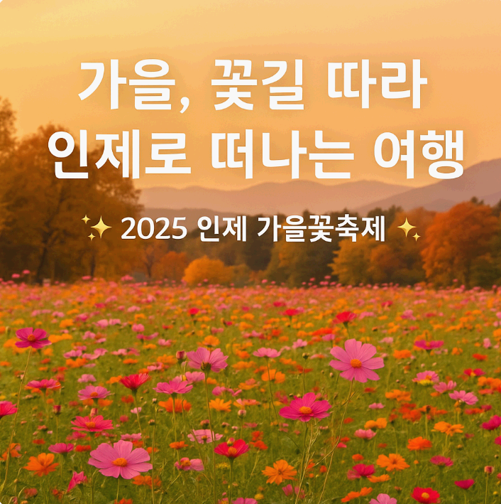 강원도 인제군 여행 ✨ 가을꽃축제 2025 일정 & 즐길 거리 총정리