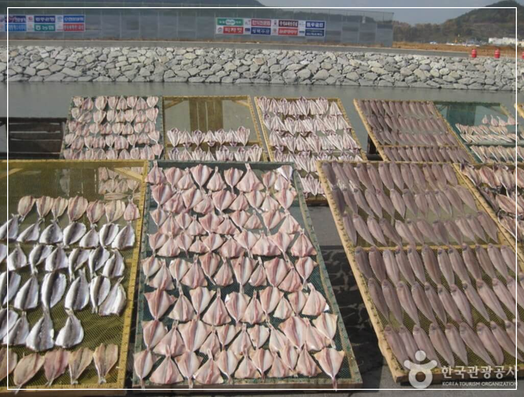 영광 가볼만한곳 베스트10 법성포 굴비거리
