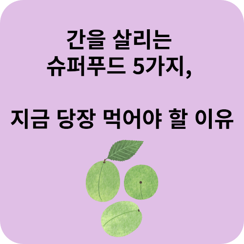 간을 살리는 슈퍼푸드 5가지, 지금 당장 먹어야 할 이유