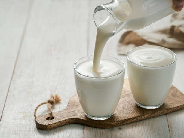 케피어(Kefir) 효능
