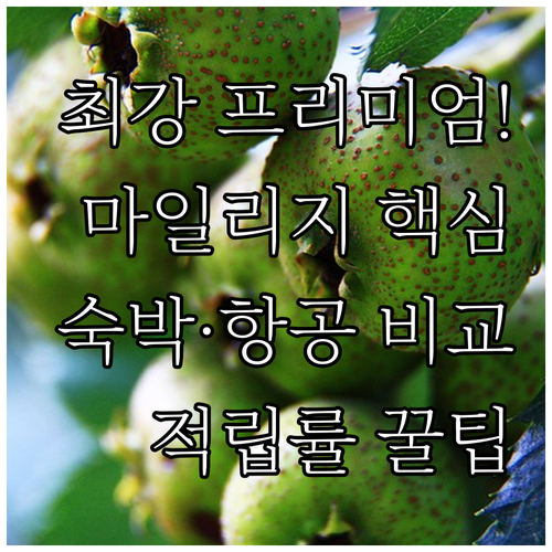 프리미엄 카드 숙박 항공 마일리지 적..