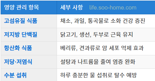 건강한 식단과 영양 관리