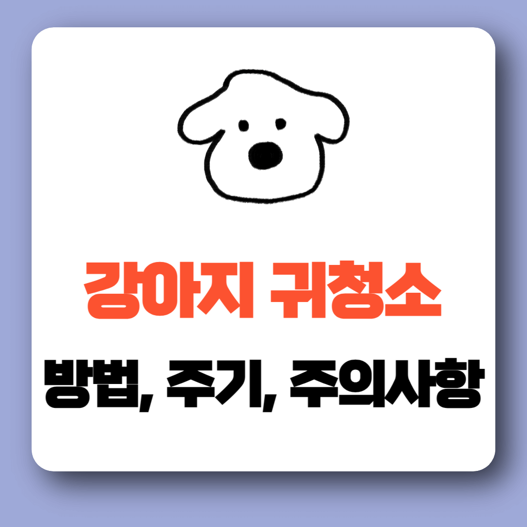 강아지 귀청소 하는법, 주기 알아보기