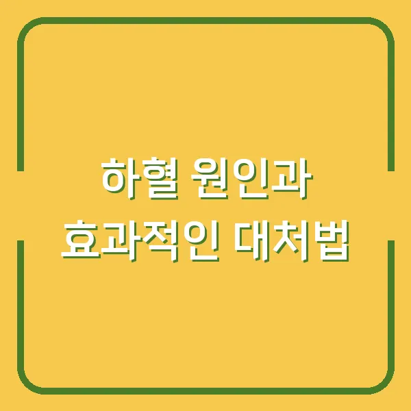 하혈 원인과 효과적인 대처법