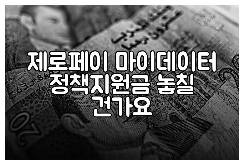 제로페이 마이데이터 정책지원금 놓칠 건가요