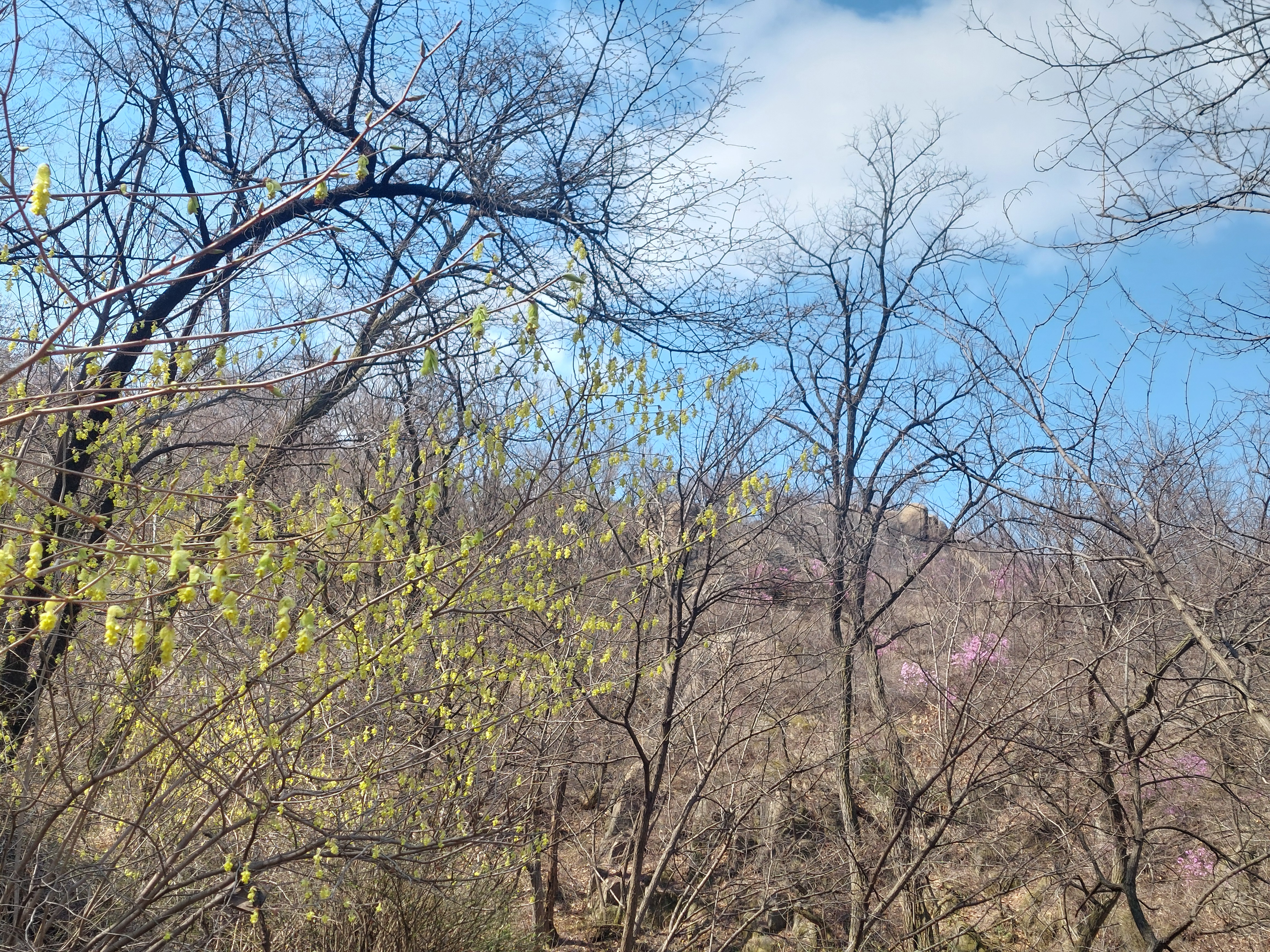 안산