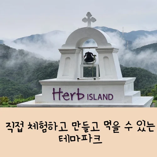 2025 포천 허브아일랜드 수국과 허브