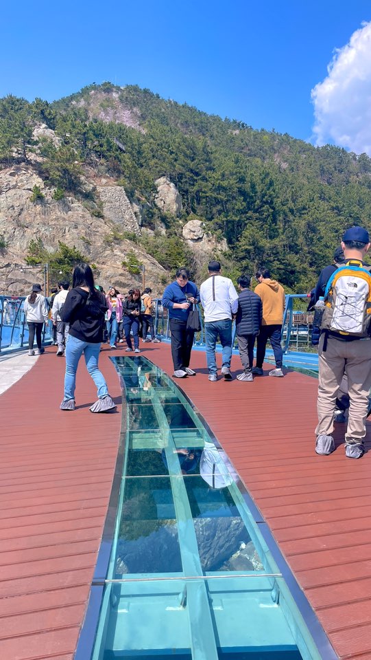 해변열차