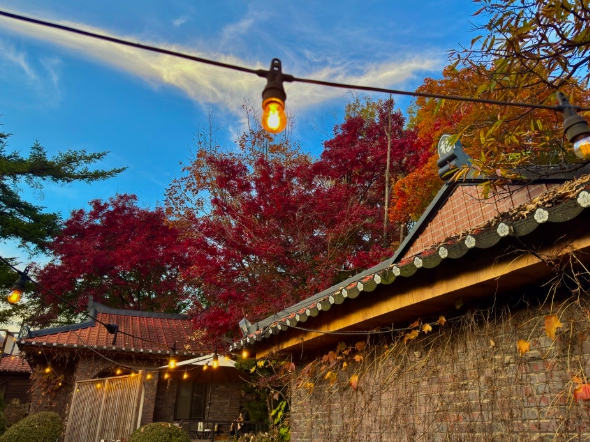 크리스마스/분위기/핫플/카페