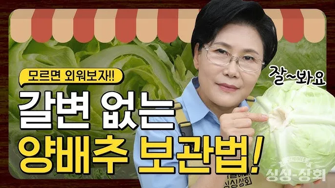 "양배추