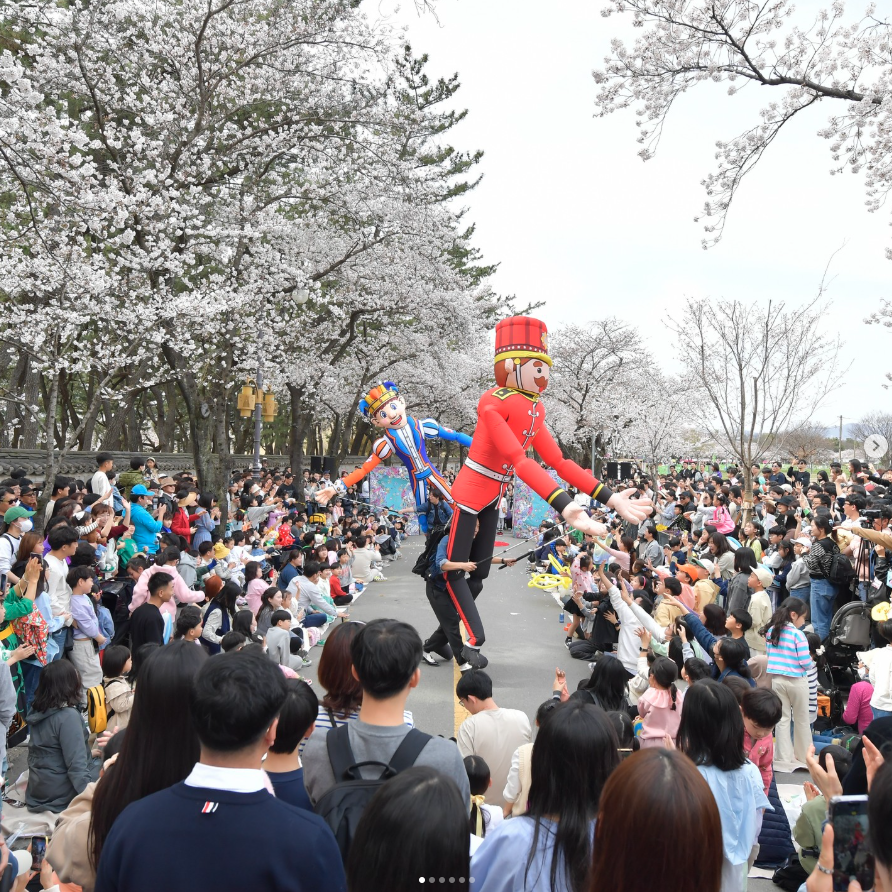 경주 벚꽃 축제