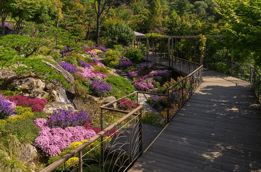 곤지암 화담숲 9월, 10월 단풍시기