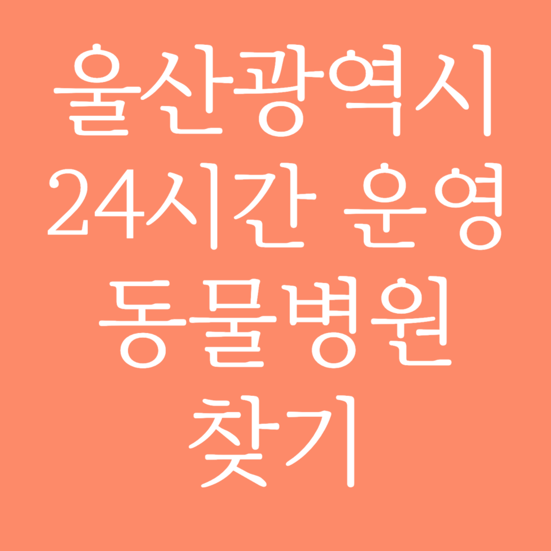 울산광역시 24시간 운영 동물병원 찾기