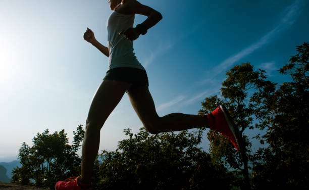 러너스 하이에 대해 알아보기! 러너스 하이 어떤 느낌일까