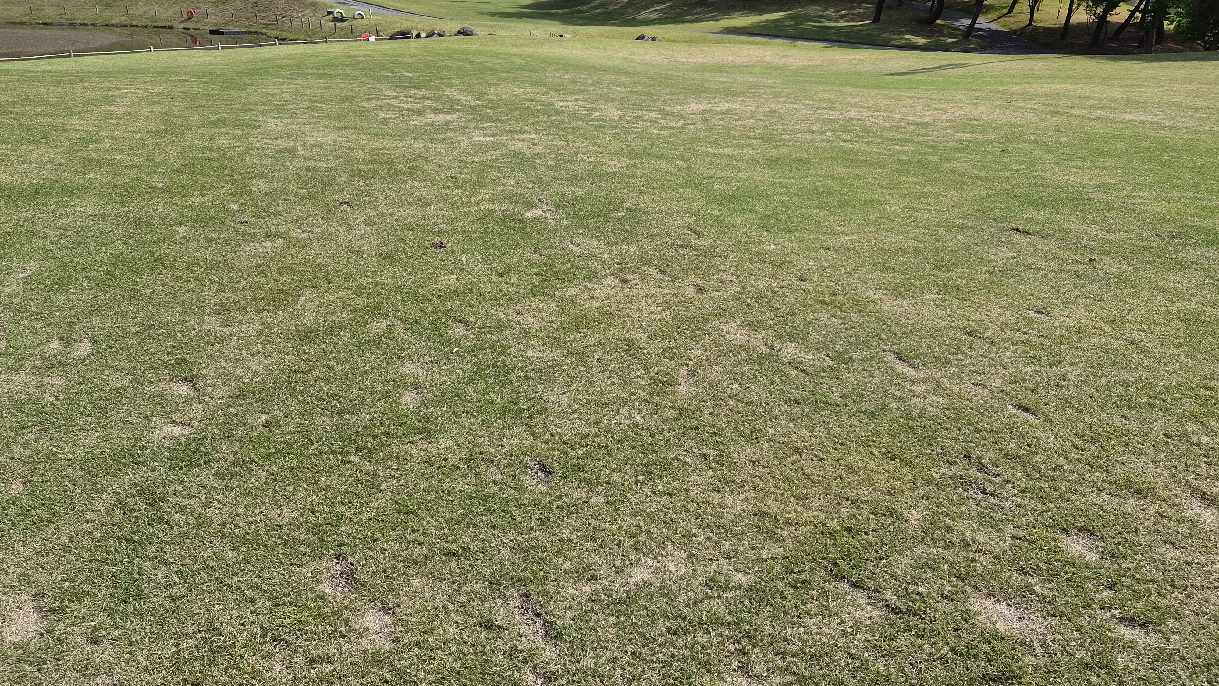 포웰cc 프린세스 라운드 후기