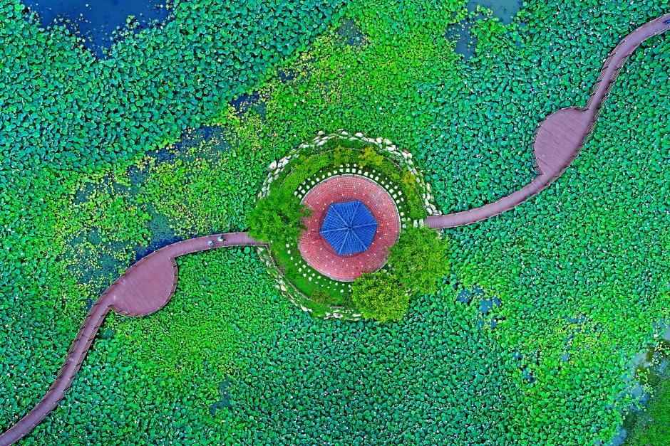 성주 뒷미지수변공원