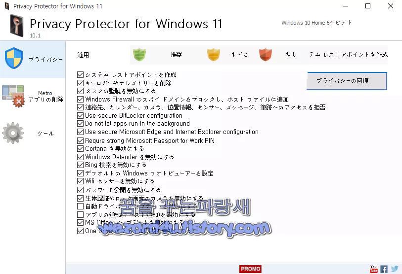 Privacy Protector for Windows 11 메인 화면