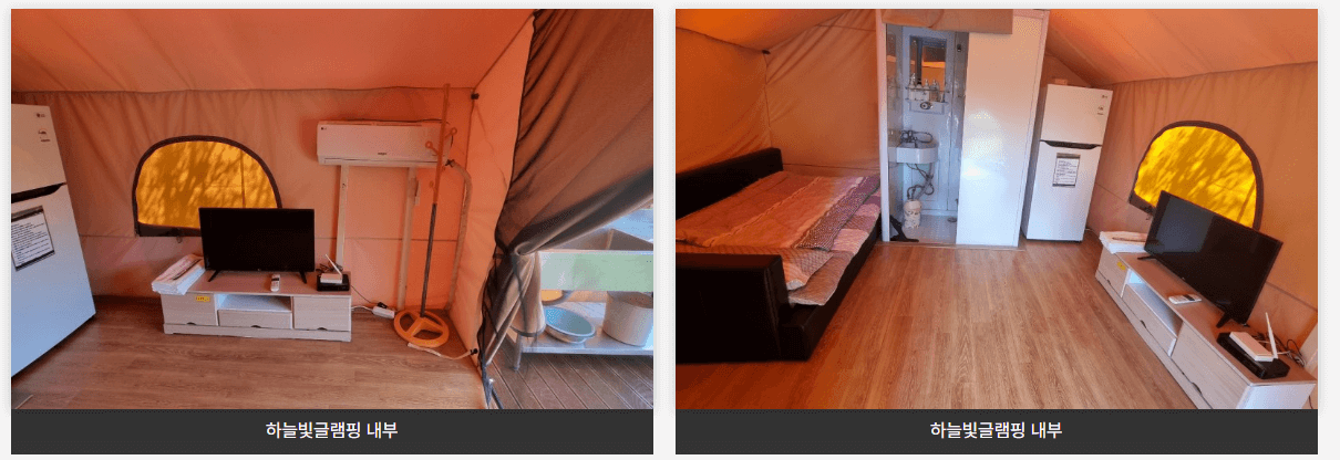 장흥 하늘빛수목정원 튤립축제