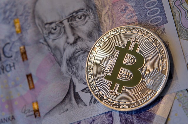 솔라나-코인-기반-밈코인-시세-전망-거래소