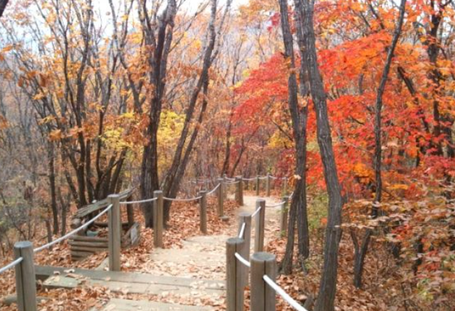 2025 경기도 단풍 명산 BEST ❘ 북한산&middot;남한산성&middot;광교산 등 추천 코스