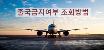 출국금지 여부 조회 법무부 출입국 관리 방법_16
