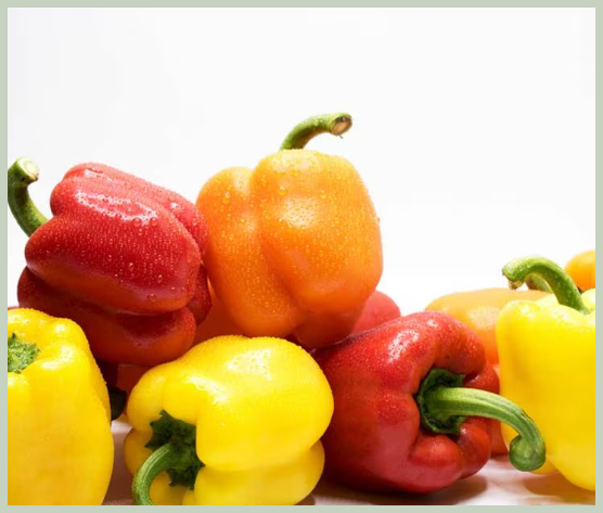 파프리카 색깔별 영양 성분