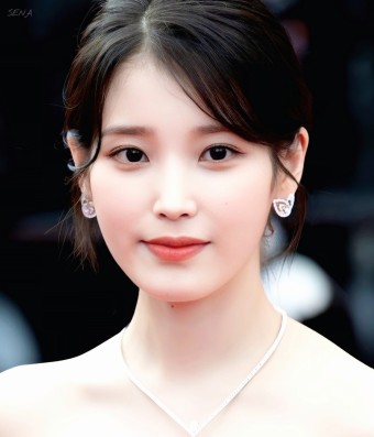 아이유 악플러 고소