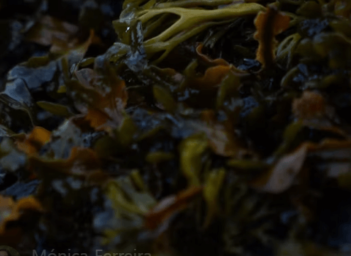 지방 배출 돕는 추천 식품 5가지! &amp;#39;이것&amp;#39; 먹고 뱃살 쏙 빼는 법