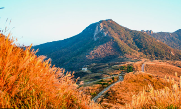 황매산 단풍 절정 시기와 추천 코스 완전 정리 ❘ 경남 가을 여행 명소