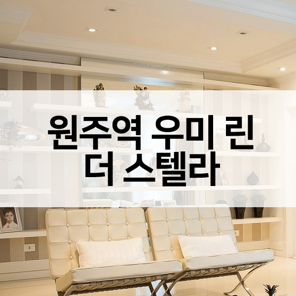 원주역우미린더스텔라-1