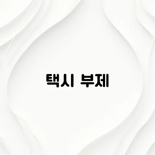 택시 부제