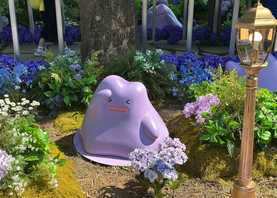 메타몽 프로젝트 : 메타몽 가든