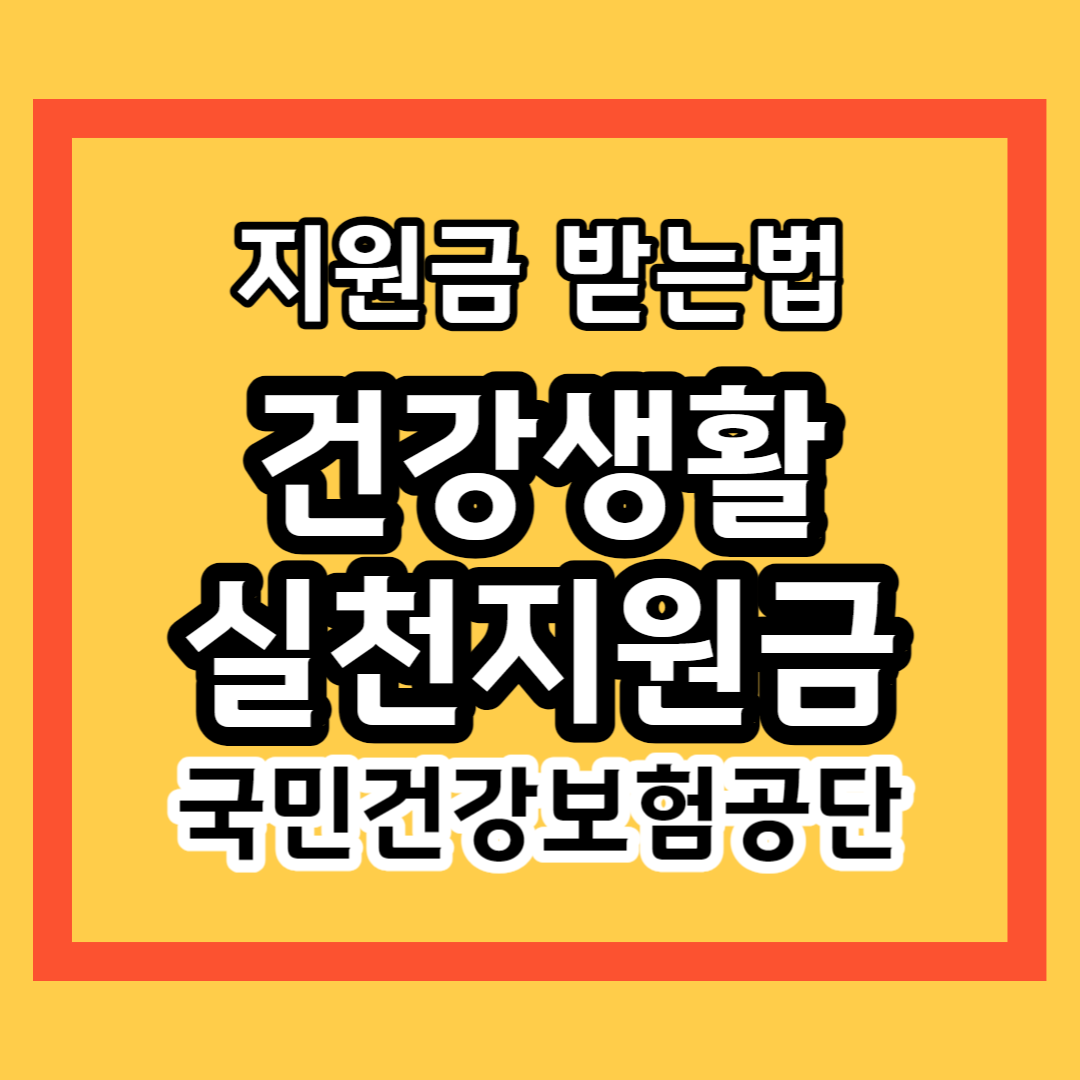 건강생활실천지원금제