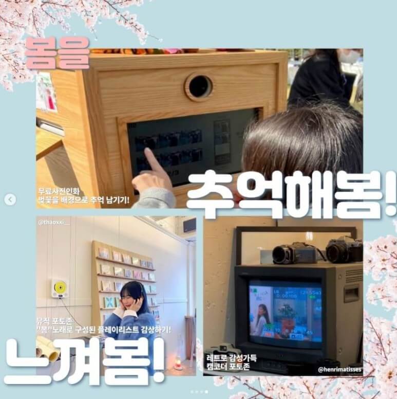 경주벚꽃축제_행사_사진