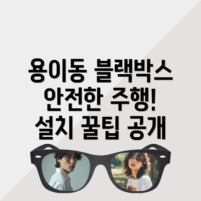 평택시 블랙박스
