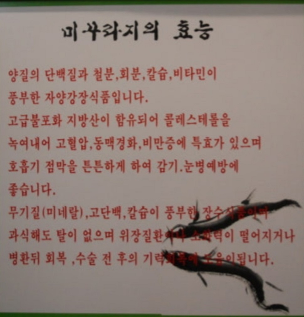 미꾸라지효능