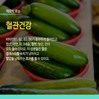 애호박 효능 여름철 보약 같은 채소 정리_3