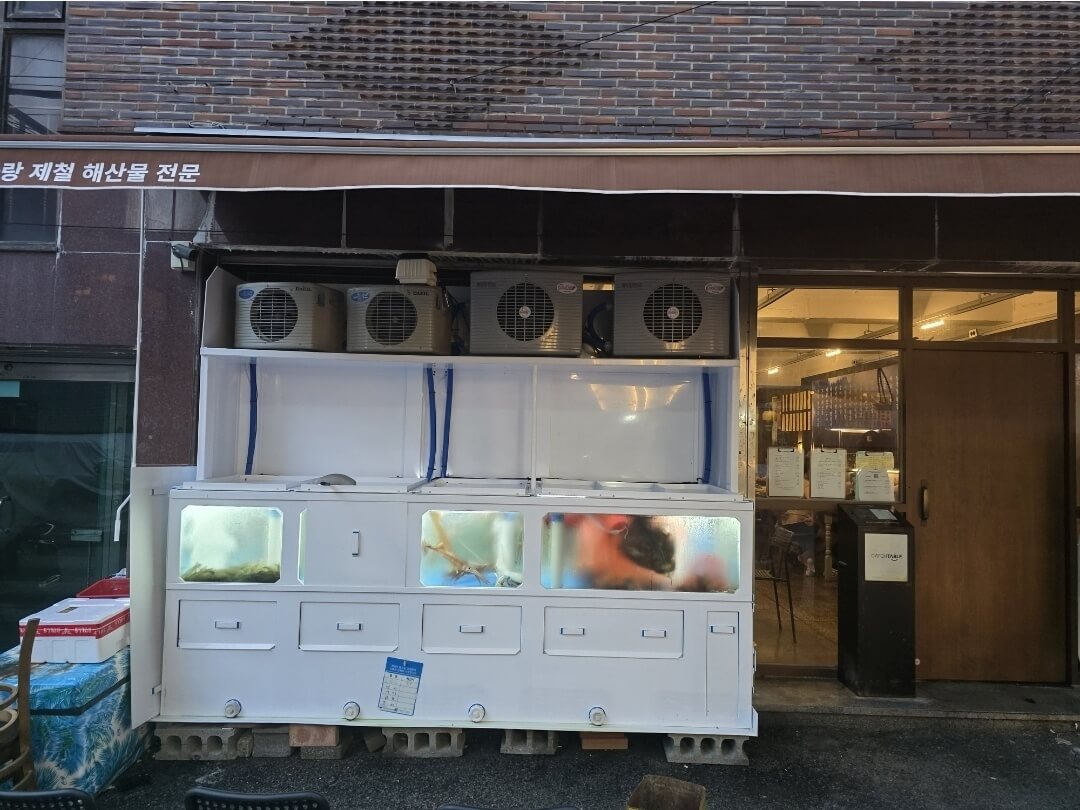 원화랑 입구 수족관사진