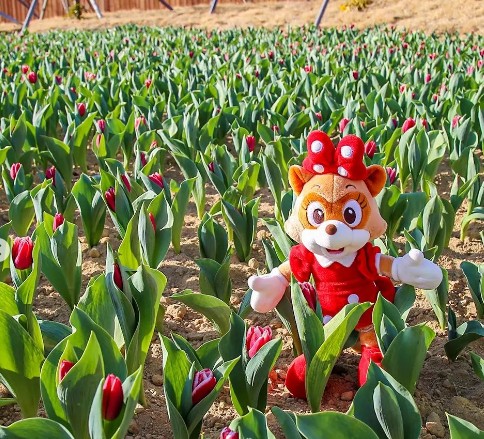 롯데월드 부산