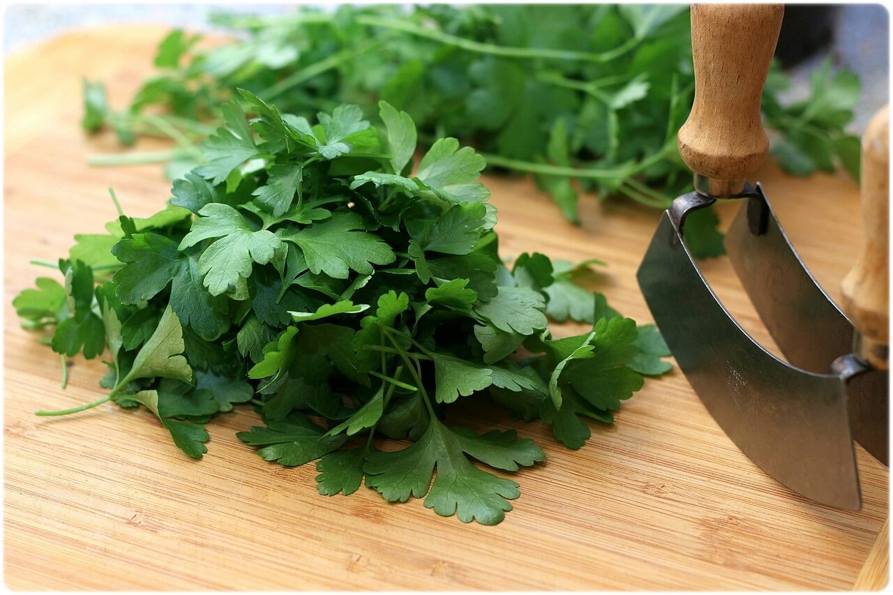 피부에 좋은 음식 안좋은 음식