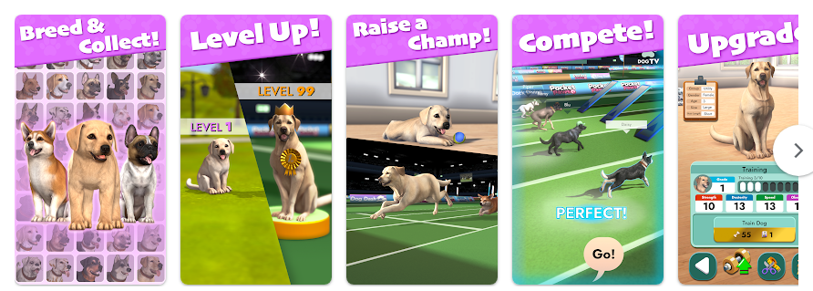 Pocket Paws 강아지 챔피언 앱, 최고의 개 훈련 게임