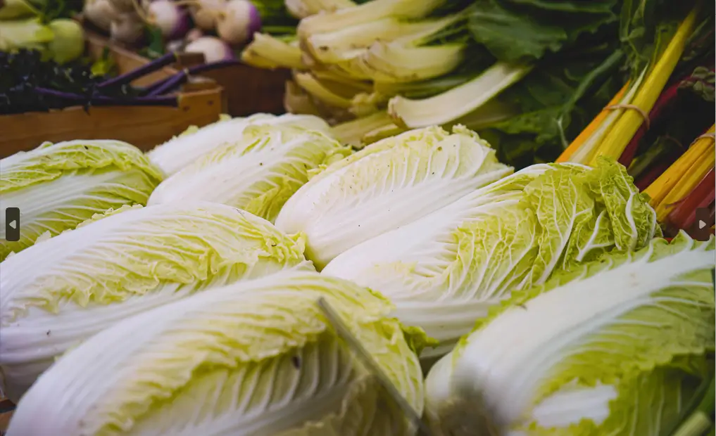 절임배추 20kg은 몇 포기&amp;#44; 가격&amp;#44; 양념레시피