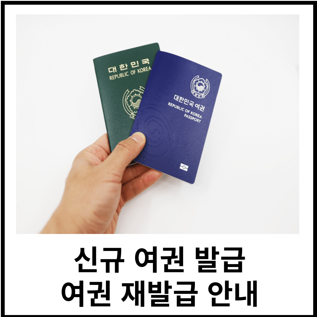 여권 발급에 대한 모든 것(신규 발급, 재발급, 미성년자 여권 발급)