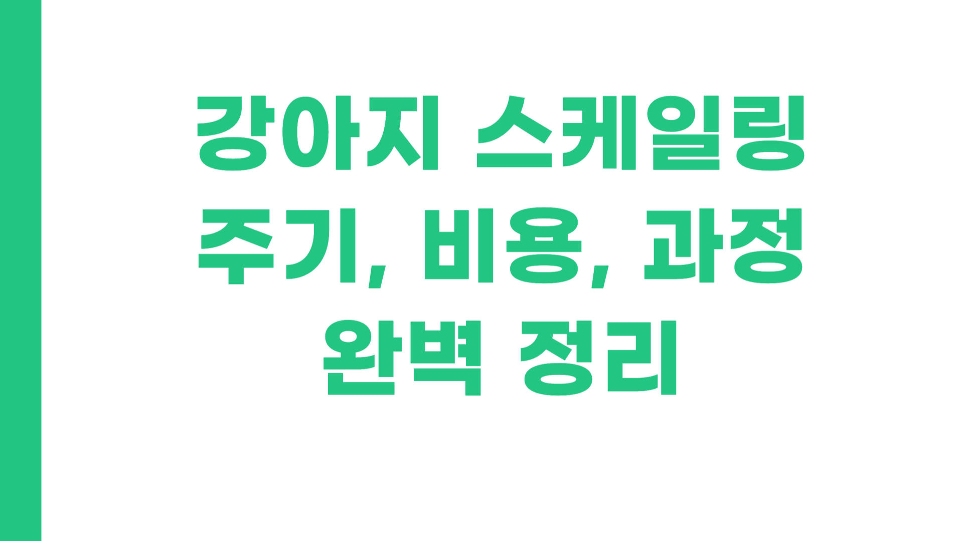 강아지 스케일링 주기 비용