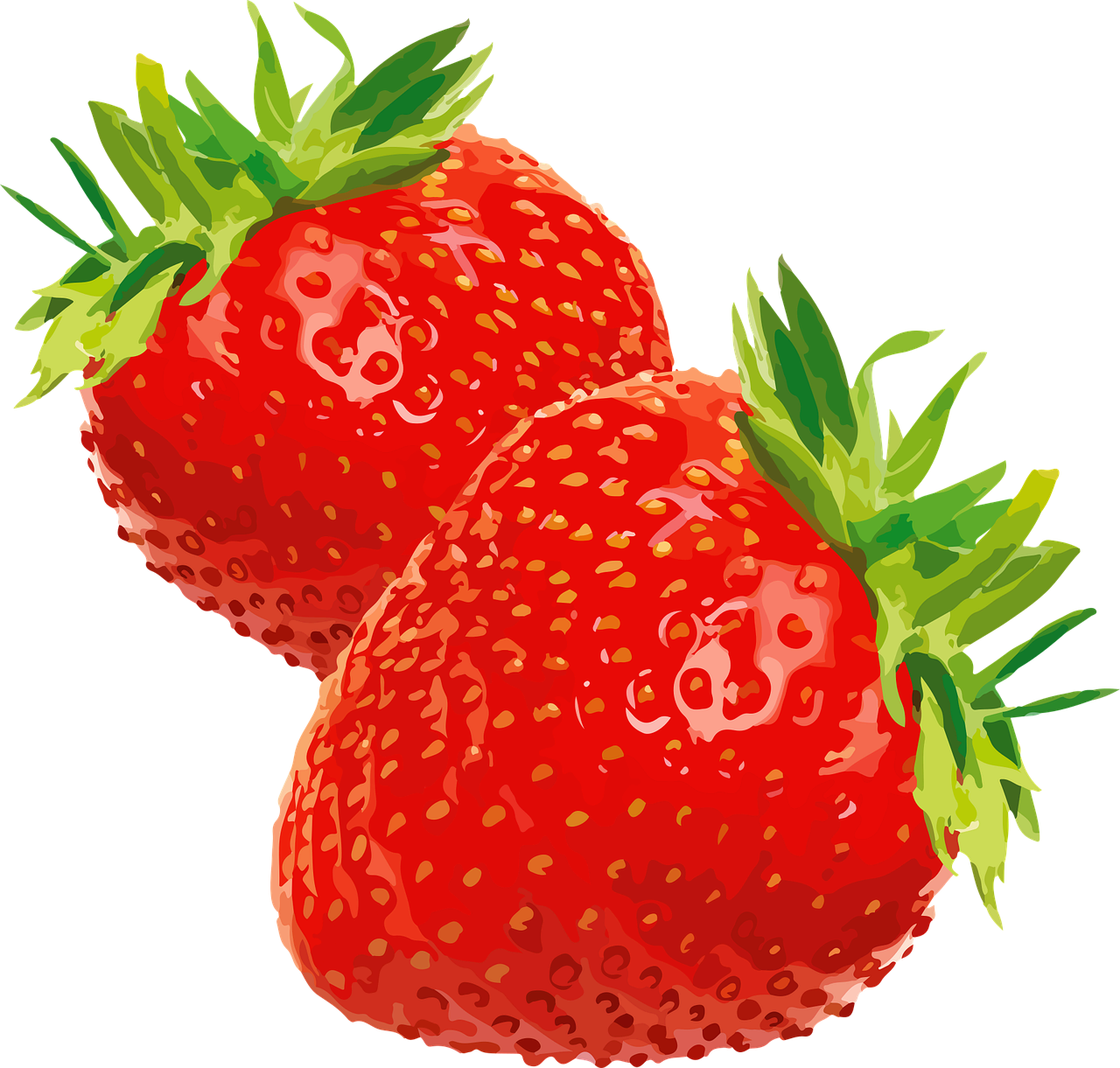 스마트 팜 딸기