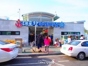 속초 대포항 맛집 추천 회센터 근처 인기 식당 리스트_17