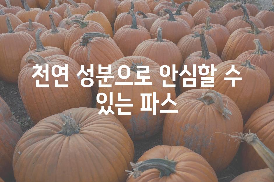 천연 성분으로 안심할 수 있는 파스