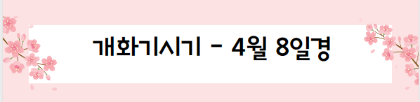 봄꽃 여행지